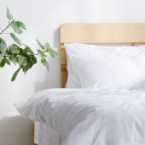 pure parima clean bed