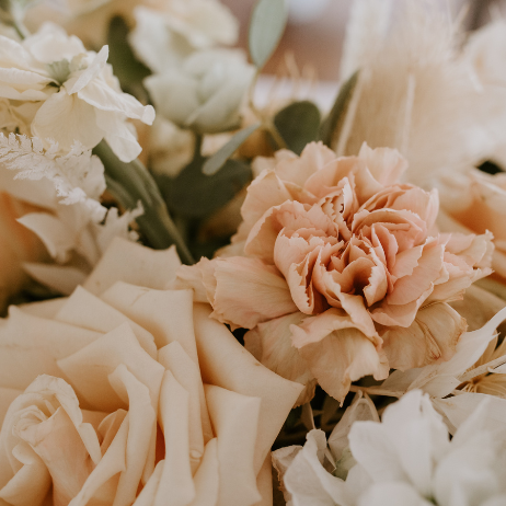 pure parima wedding ideas