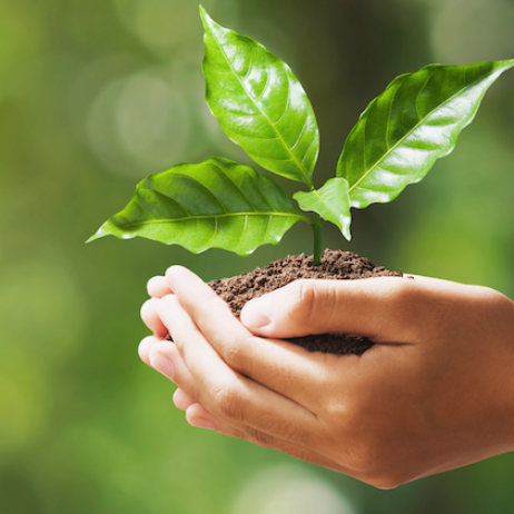 pure parima eco-friendly promise