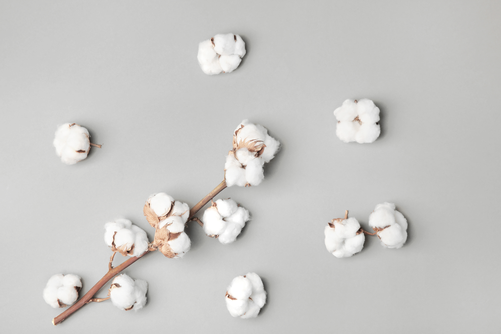 pure parima egyptian cotton quality