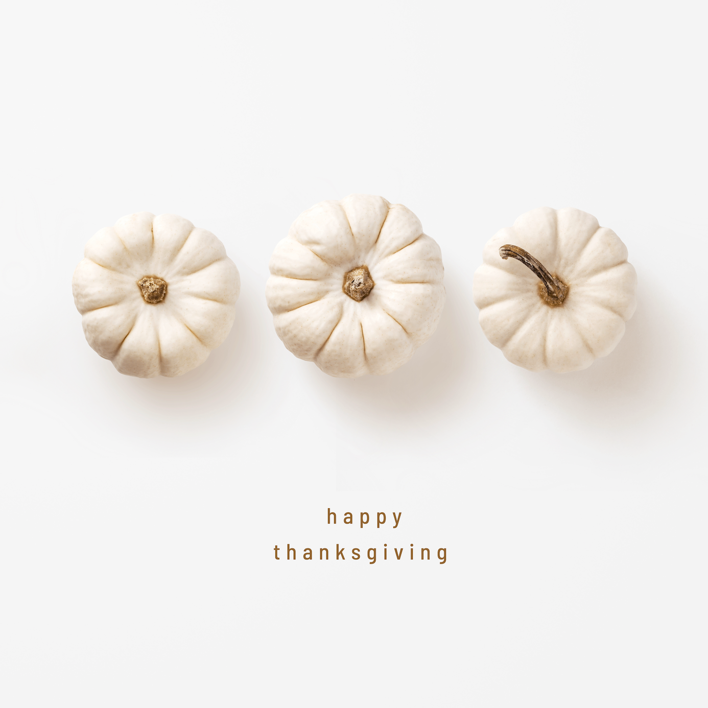 Pure Parima Thanksgiving