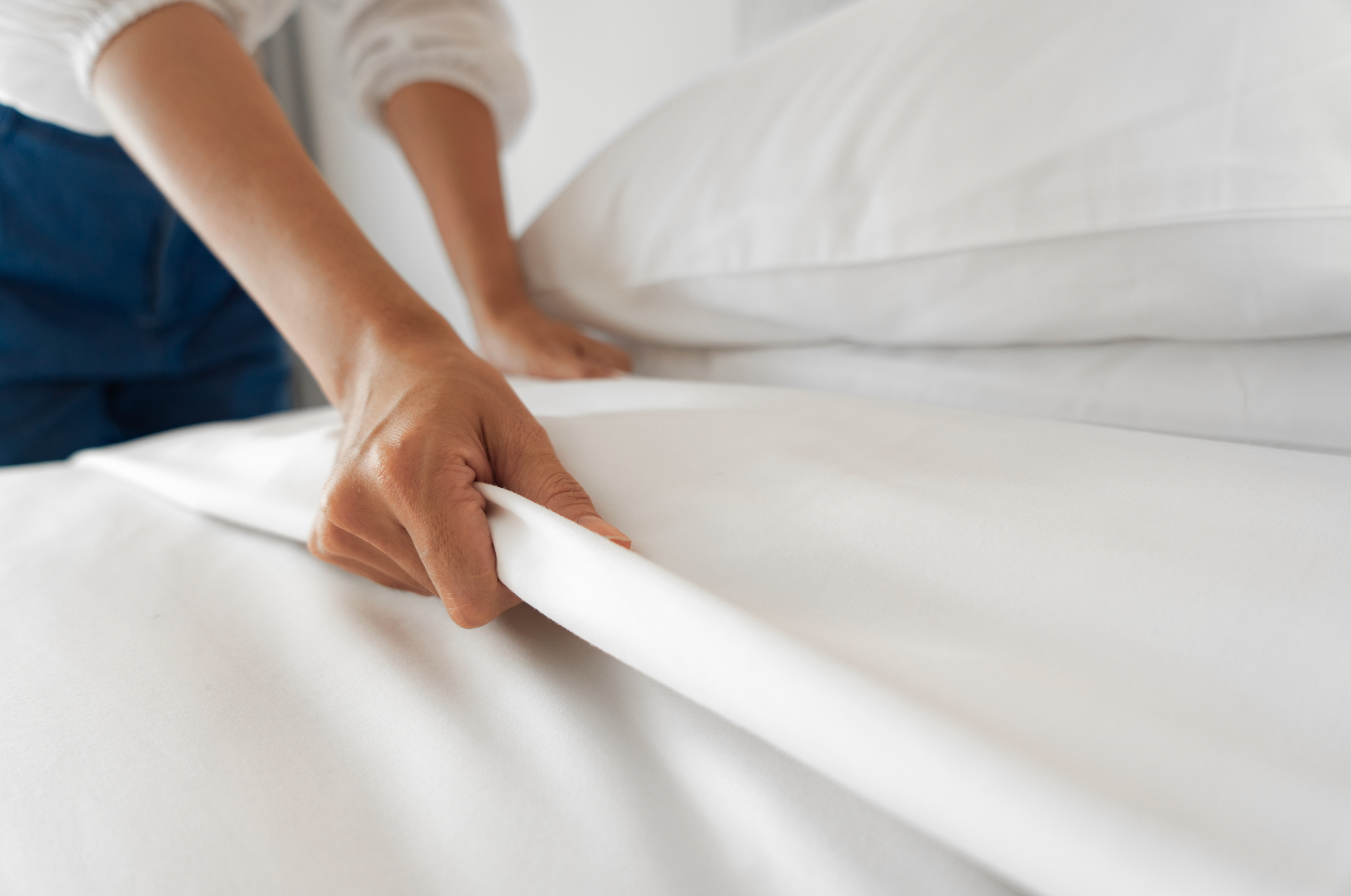 pure parima egyptian cotton hotel sheets