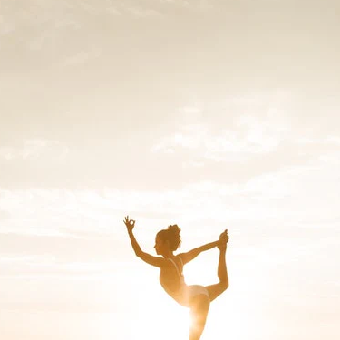 pure parima body wellness day