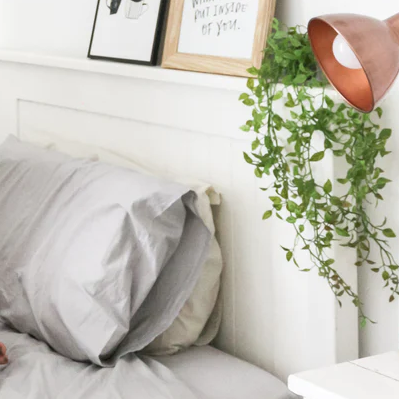 pure parima college routine