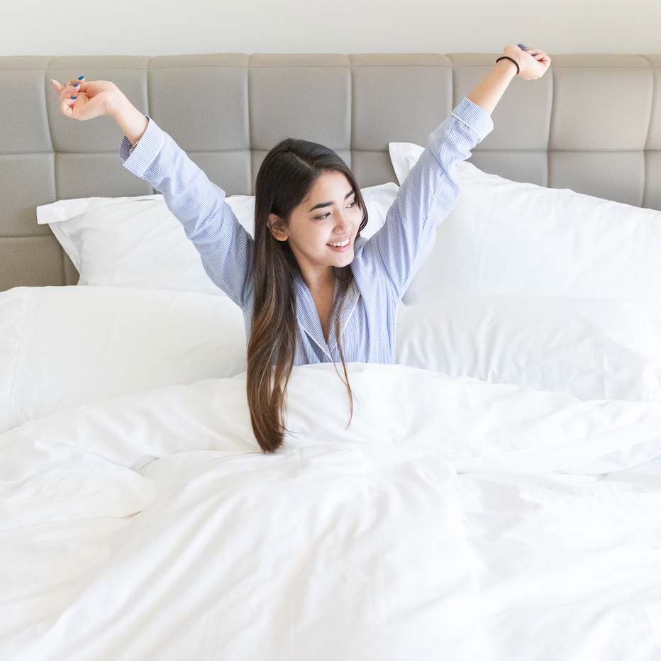 pure parima egyptian cotton sheets