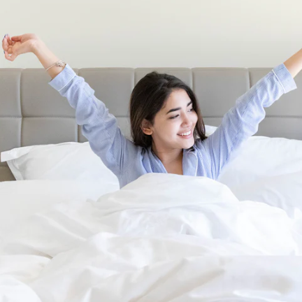 pure parima egyptian cotton sheets