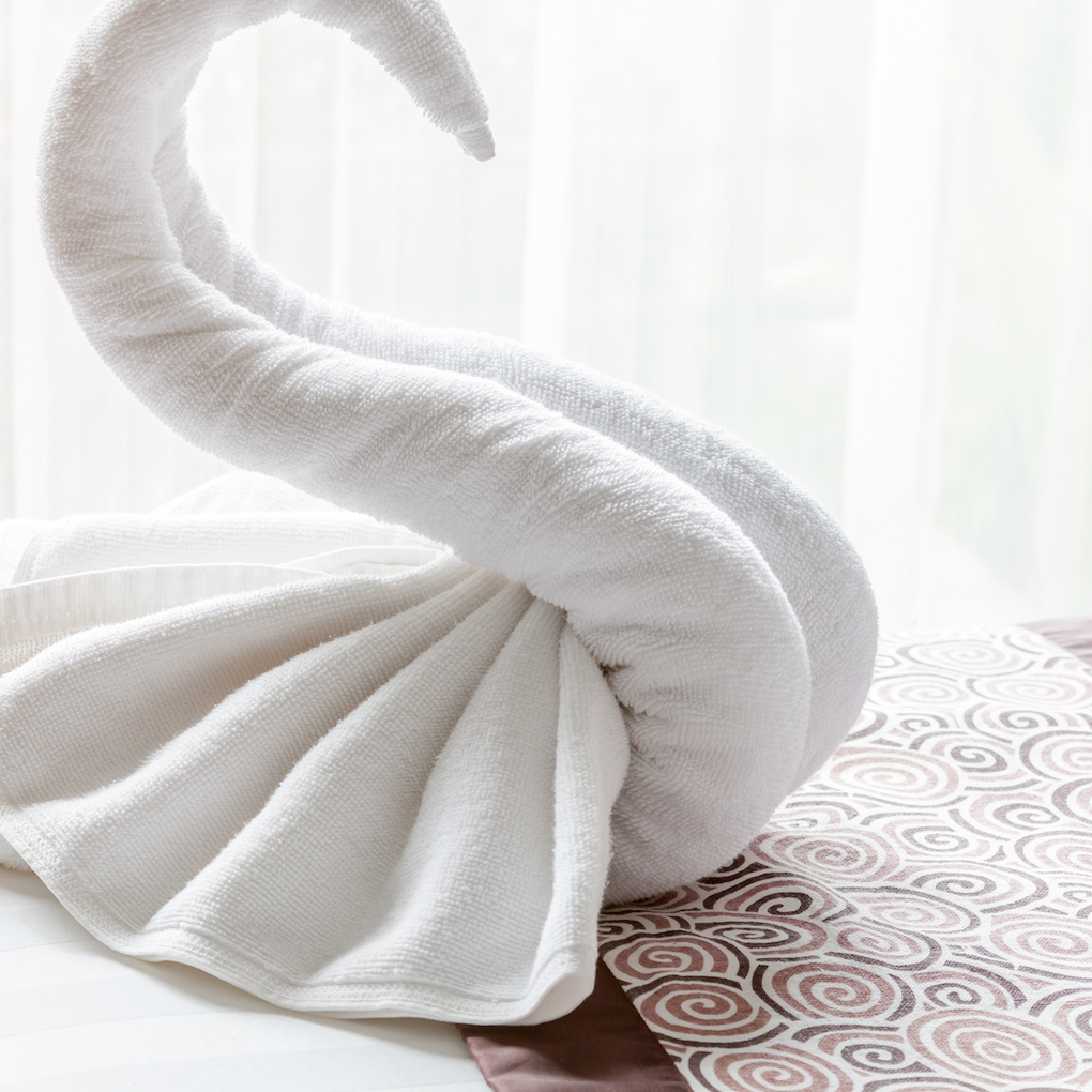 The Art of Towel Folding