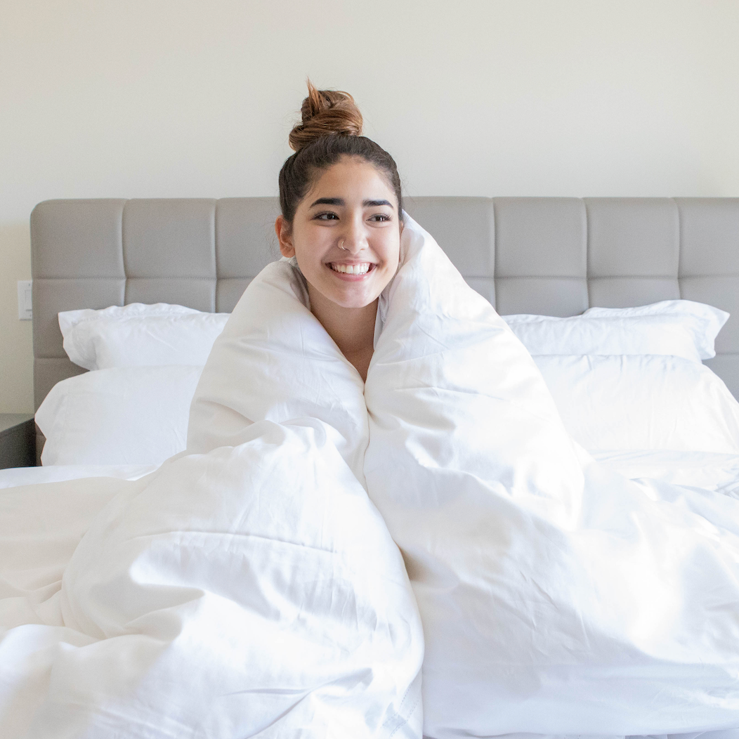 pure parima egyptian cotton sheets
