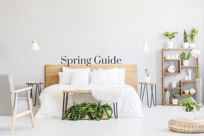 Your Guide to Spring Sprucing