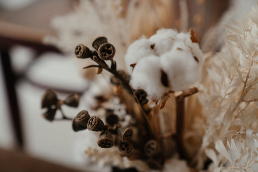 Giza Cotton vs Pima Cotton
