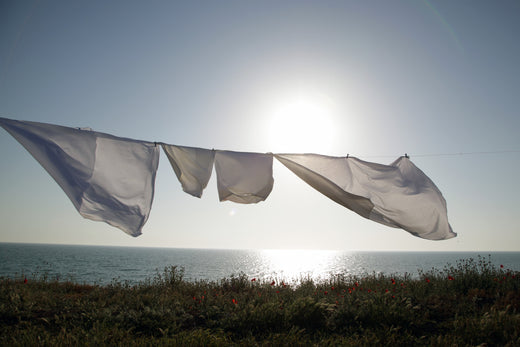 pure parima egyptian cotton wash routine