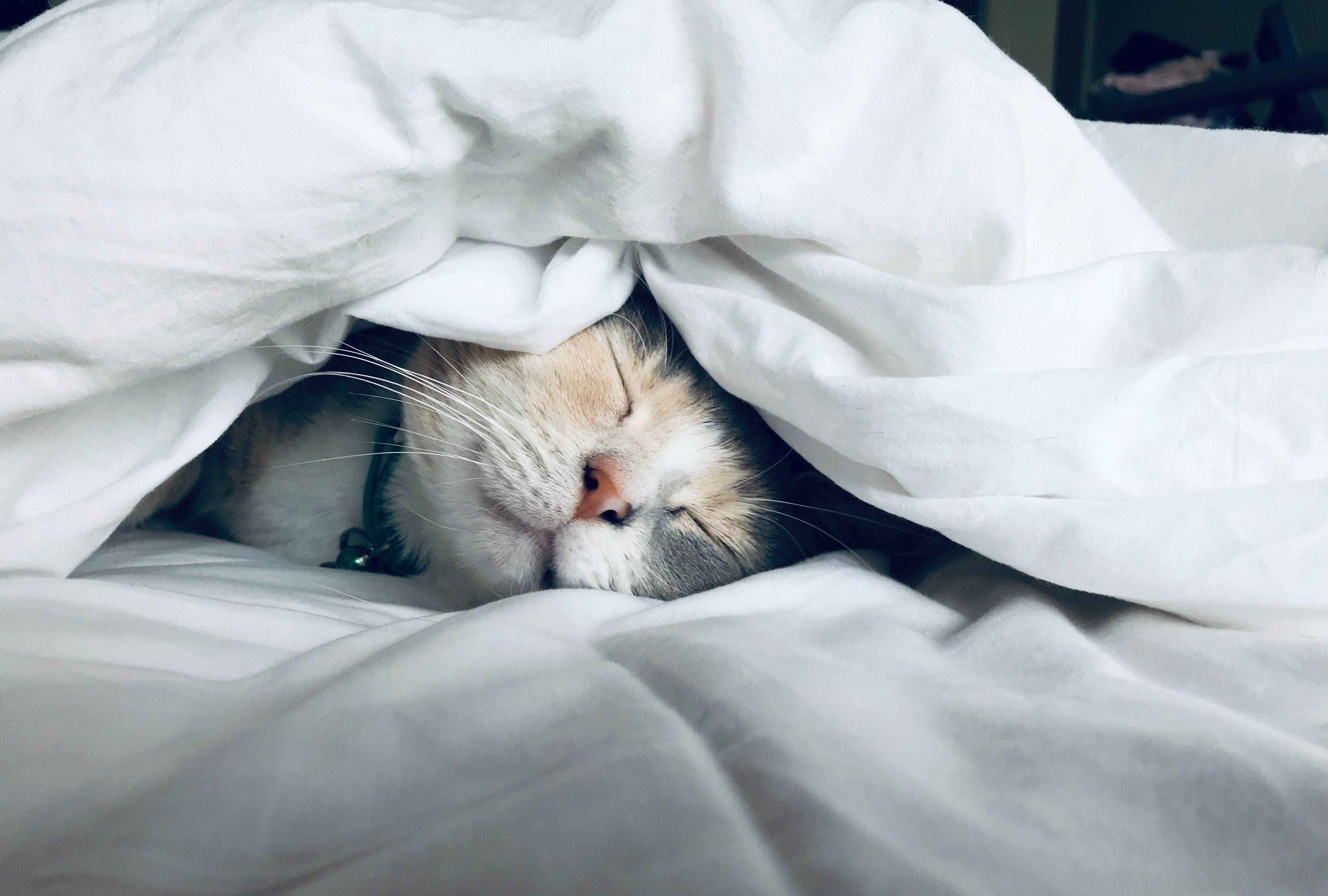 why you should invest in your bedding