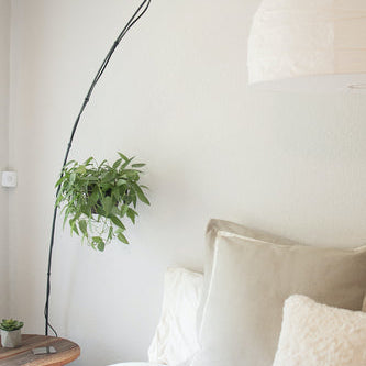 pure parima egyptian cotton sheets