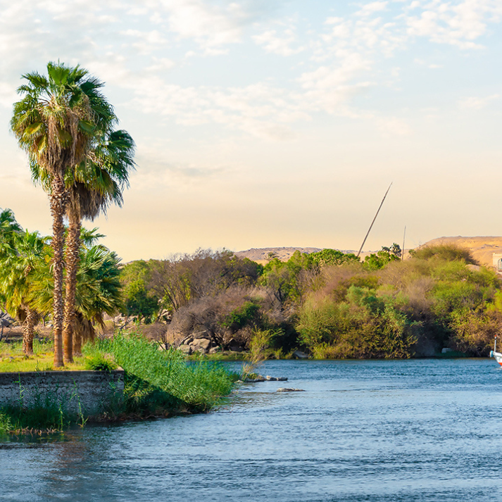 pure parima where is egyptian cotton grown