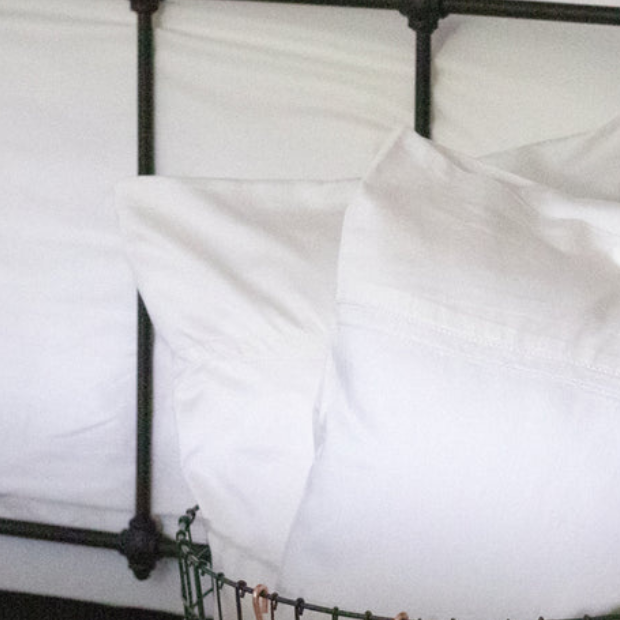 pure parima egyptian cotton pillowcases