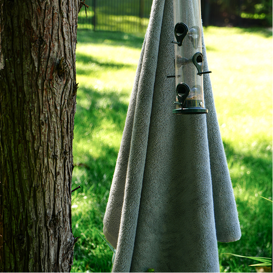 pure parima egyptian cotton towels