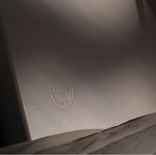 Close-up of a textured white silver surface with a subtle embossed crest logo, shown in dramatic side lighting with a dark shadow across the upper portion.