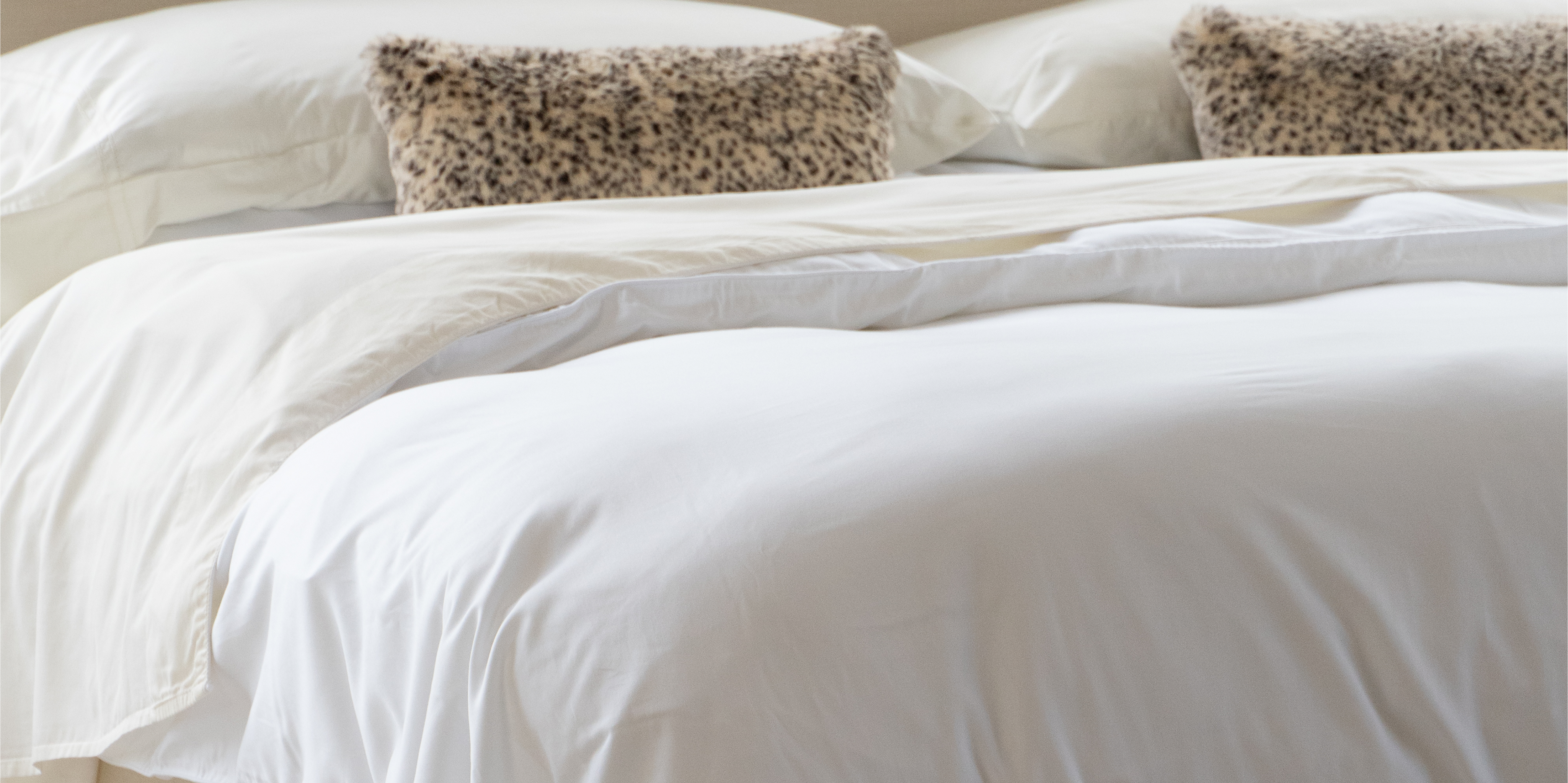 pure parima egyptian cotton sheets