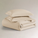 pure parima egyptian cotton yalda comforter cream