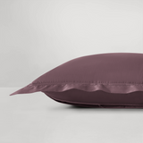 pure parima egyptian cotton yalda euro sham raisin