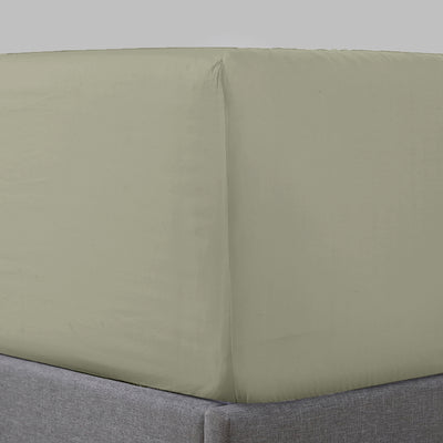 Pure Parima Egyptian Cotton Sheets Sateen Fitted Sheet#color_olive