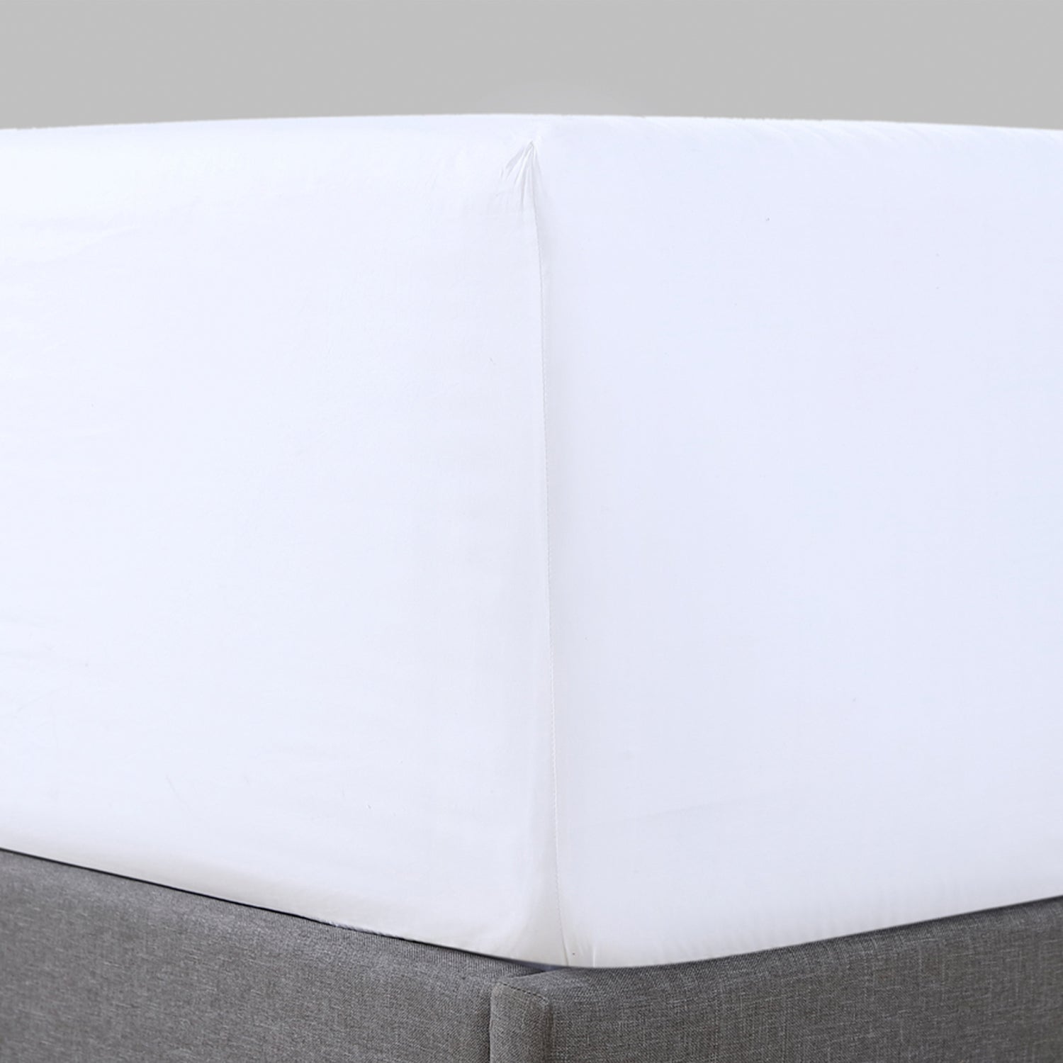 Pure Parima Egyptian Cotton Sheets Percale Fitted Sheet#color_white